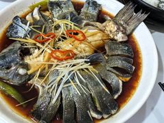 -煲来饱去冷水鱼