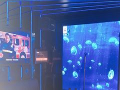 -唱吧麦颂KTV·派对(东坝店)
