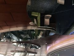 -339旋转餐厅(天府熊猫塔店)