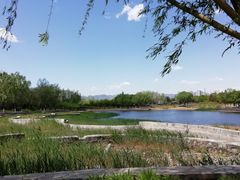 -永定河休闲森林公园