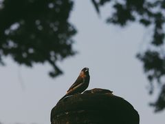 -成都市文殊院