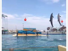 -秦皇岛乐岛海洋王国