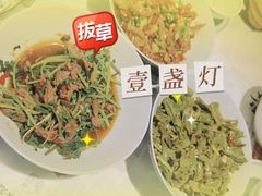 -壹盏灯(惠农店)