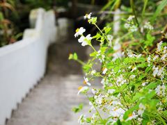 -蜜悦·波西塔诺悬崖海景餐厅