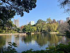 -晓港公园