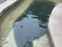 -大连金石滩绿发温泉假日酒店