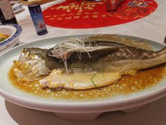 -保定会馆(秀兰店)