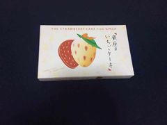 -关西国际机场直营免税店
