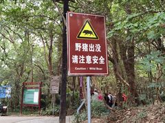 -紫金山山顶公园