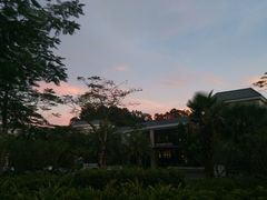 -河源万绿湖美思威尔顿酒店