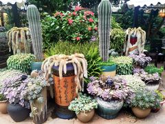 -山菌美食苑(振兴路店)