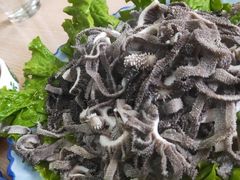 -协顺园回头馆(南顺城路店)