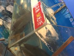 -粗粮人家·东北菜(洋桥店)