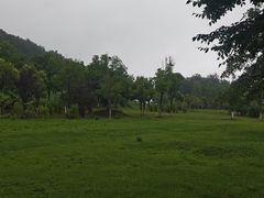 -南京市无想山景区