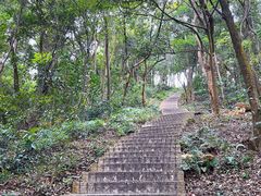 -广州市帽峰山景区