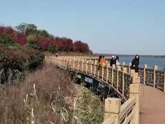 -南京枫彩漫城
