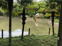 -瀛洲公园