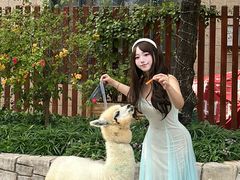 -灵玲国际马戏城