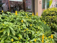 -泰尚臻Siam Essence