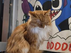 -平行世界·猫咖(首经贸店)