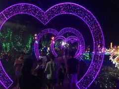 -杭州湾海上花田景区