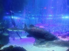 -沈阳海洋探索中心