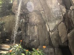 -九龙公园