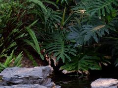 -深圳国际园林花卉博览园