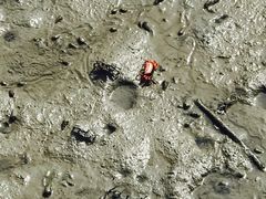 -北海金海湾红树林生态旅游区