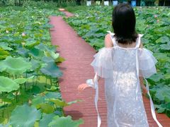 -武汉紫薇都市田园