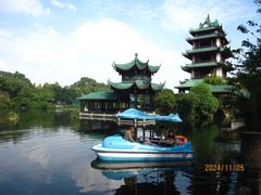-桂湖森林公园