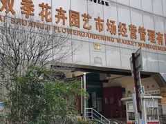 -双季花艺园艺市场(浦东店)