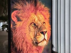 -罗红摄影艺术馆