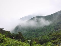 -梧桐山风景名胜区
