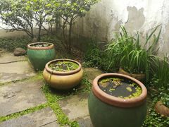 -院子餐厅·大锅菜·老杭帮(桥西直街店)