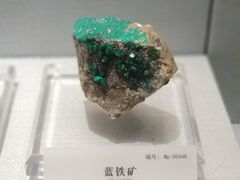 -湖南省地质博物馆