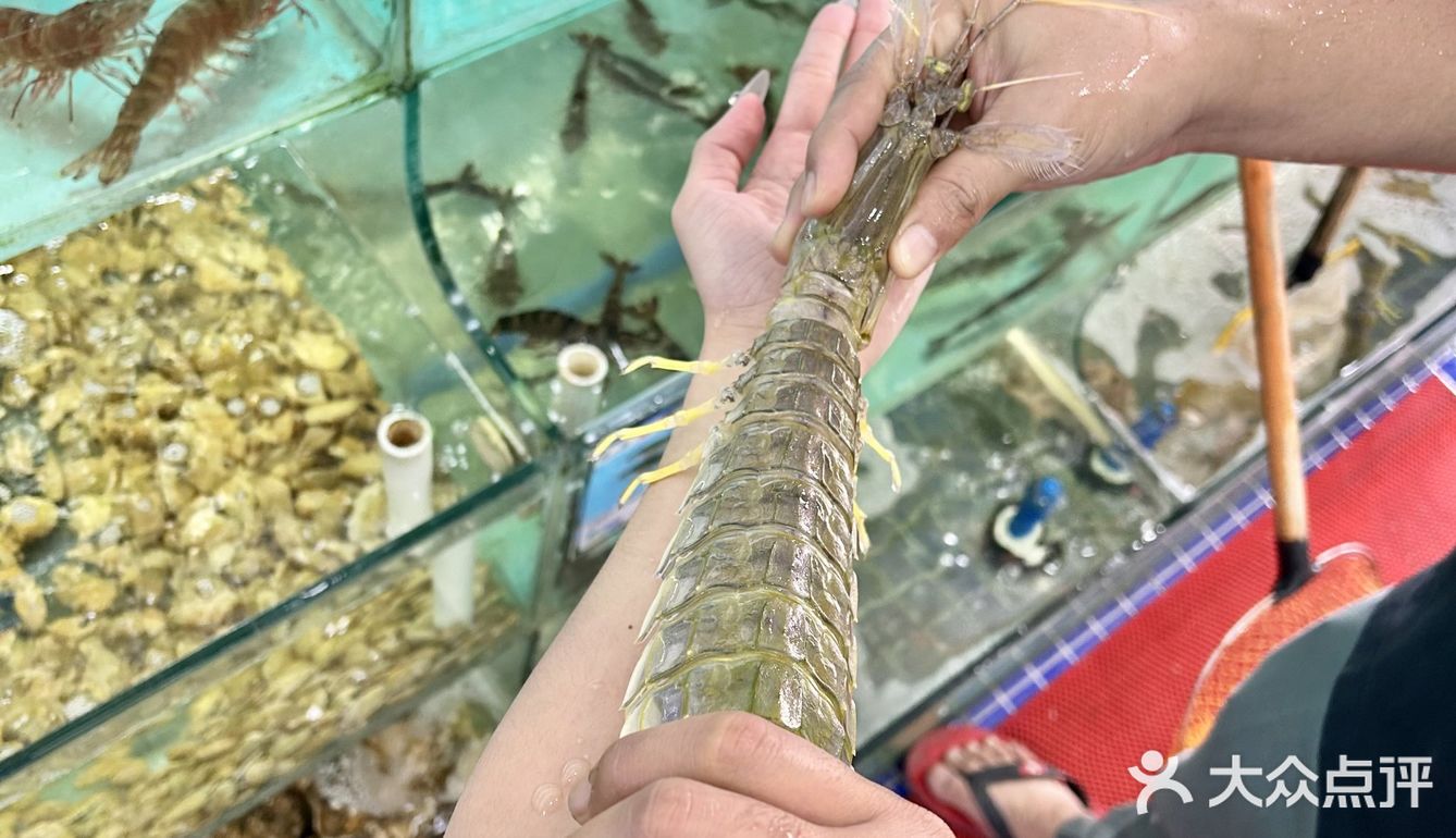 吃海鲜，你一定要种草【海味馋师】