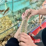 吃海鲜，你一定要种草【海味馋师】