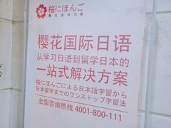 -樱花国际日语(人广中心)