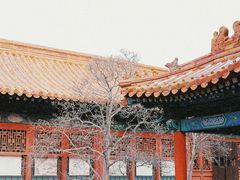 -故宫博物院(故宫)