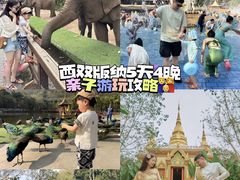 -西双版纳傣族园