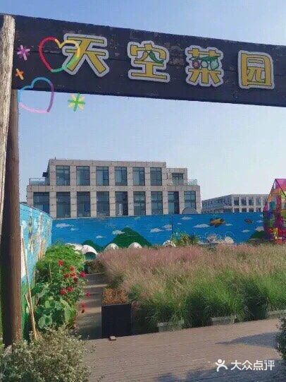 带娃亲近大自然👉小蜜蜂农场了解一哈🌿