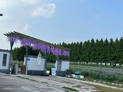 -嘉北郊野公园