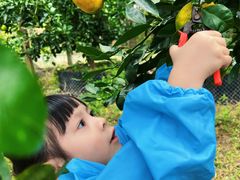 -前小桔亲子创意农场·草莓采摘·露营烧烤