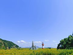 -花岙岛