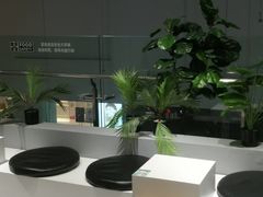 -叶子与茶(苏宁广场店)