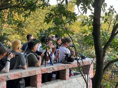 -火炉山森林公园
