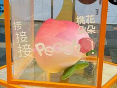 -HALO广场(梨园路店)