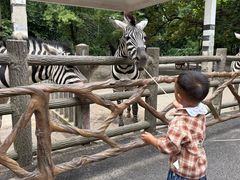-贵州森林野生动物园