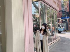 -WHEN PIGS FLY当猪飞